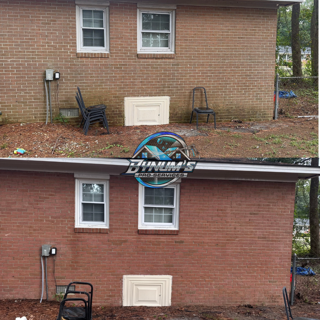 Exterior cleaning project